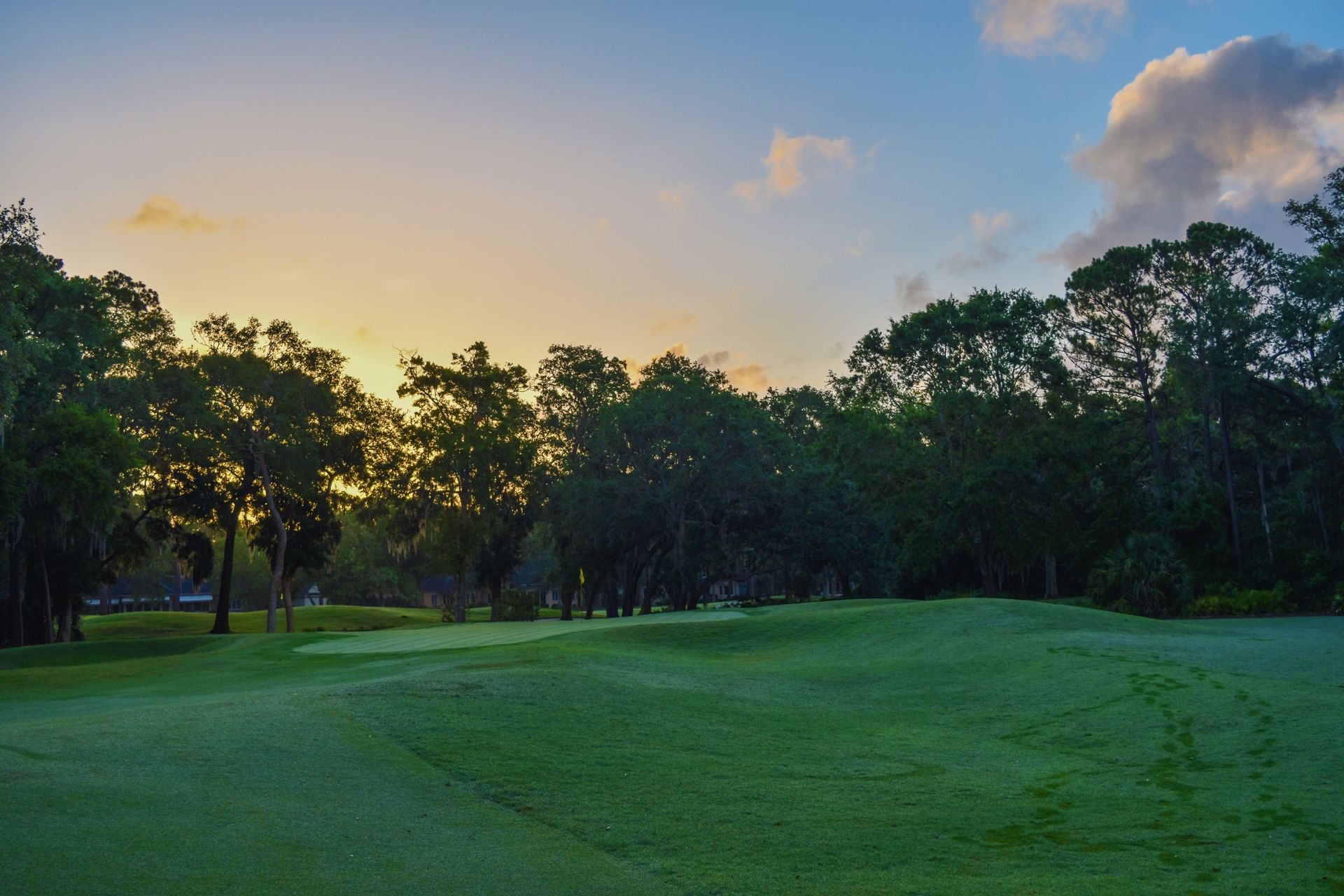 Golf Tours chauffeur service
